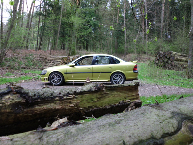 Vectra B I500