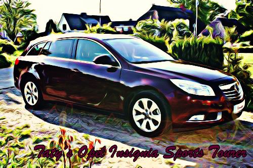 VERY BERRY RED Insi (Opel Insignia - Sports Tourer)